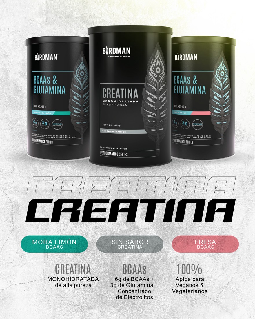 Diseño fitness