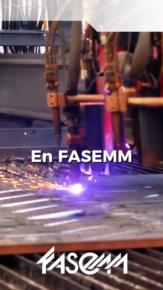 FASEMM: reel de su planta